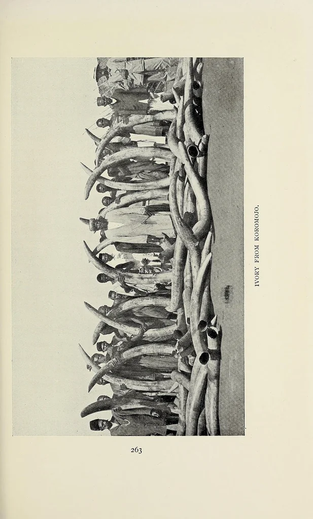 An illustration from Through Uganda to Mount Elgon, 1909, leaf 267