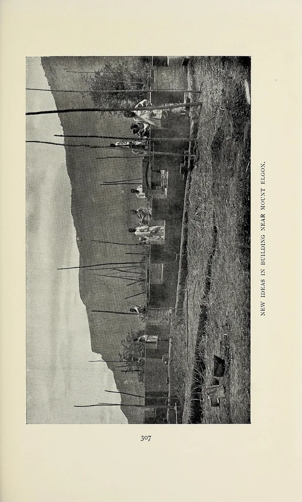 An illustration from Through Uganda to Mount Elgon, 1909, leaf 311