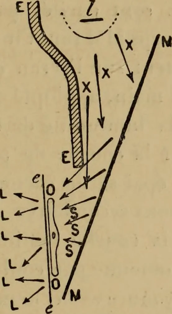 An illustration from Thèses présentées a la Faculté des Sciences de Paris pour obtenir le grade de docteur ès sciences physiques, 1900, leaf 52