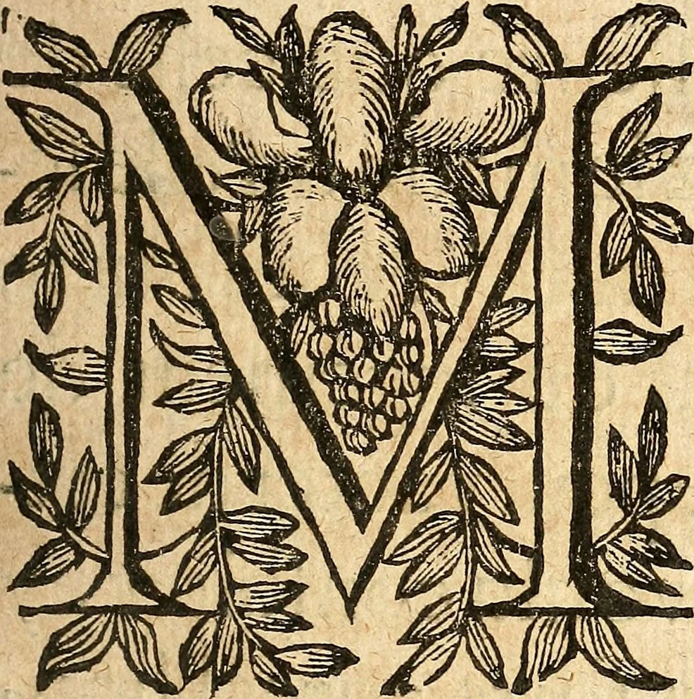 An illustration from [Théâtre de Rotrou], 1636, leaf 108
