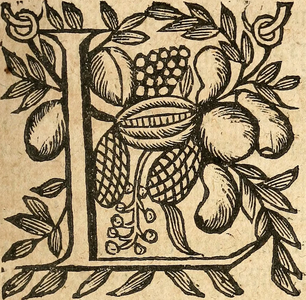 An illustration from [Théâtre de Rotrou], 1636, leaf 110