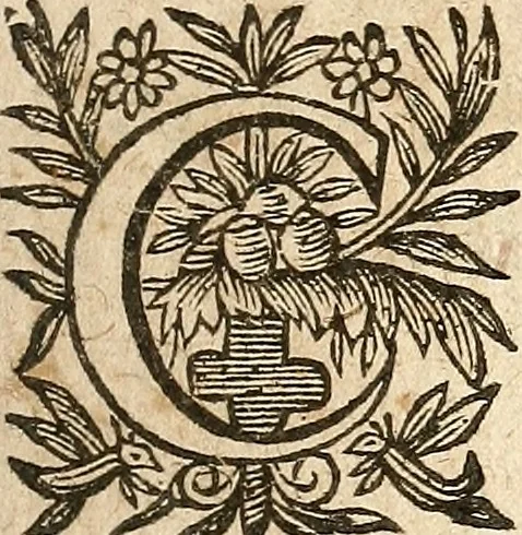 An illustration from [Théâtre de Rotrou], 1636, leaf 138