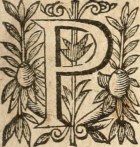 An illustration from [Théâtre de Rotrou], 1636, leaf 140