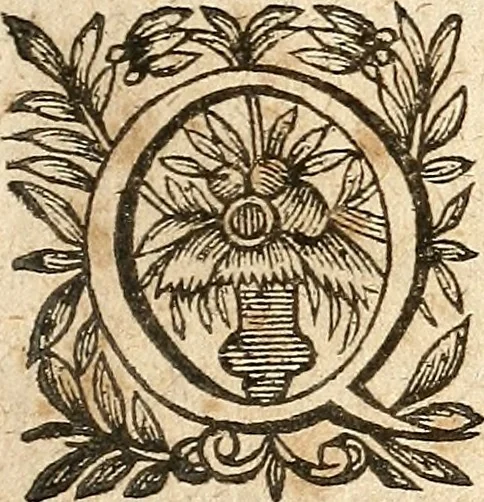 An illustration from [Théâtre de Rotrou], 1636, leaf 156