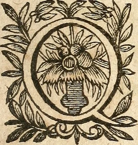 An illustration from [Théâtre de Rotrou], 1636, leaf 164