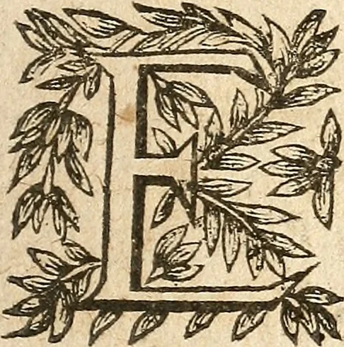 An illustration from [Théâtre de Rotrou], 1636, leaf 166