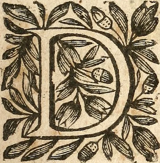 An illustration from [Théâtre de Rotrou], 1636, leaf 176