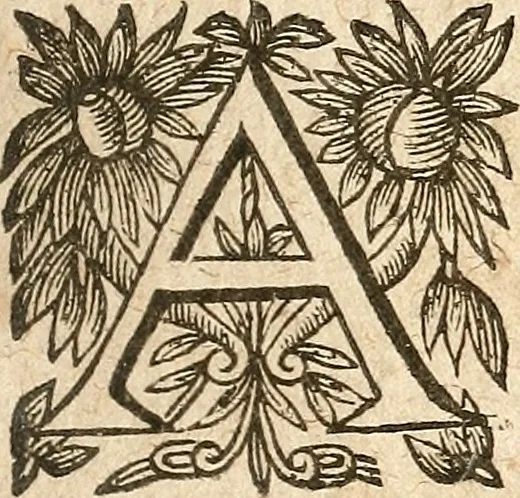 An illustration from [Théâtre de Rotrou], 1636, leaf 178