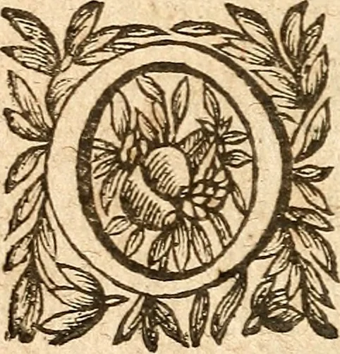 An illustration from [Théâtre de Rotrou], 1636, leaf 183
