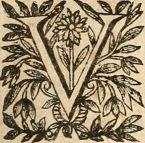 An illustration from [Théâtre de Rotrou], 1636, leaf 188