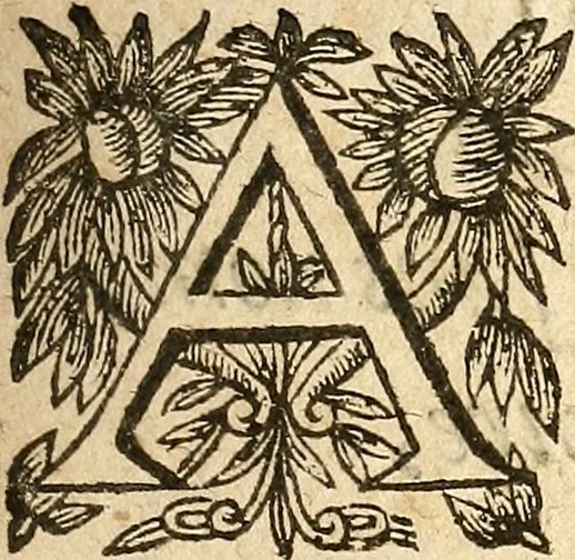 An illustration from [Théâtre de Rotrou], 1636, leaf 202