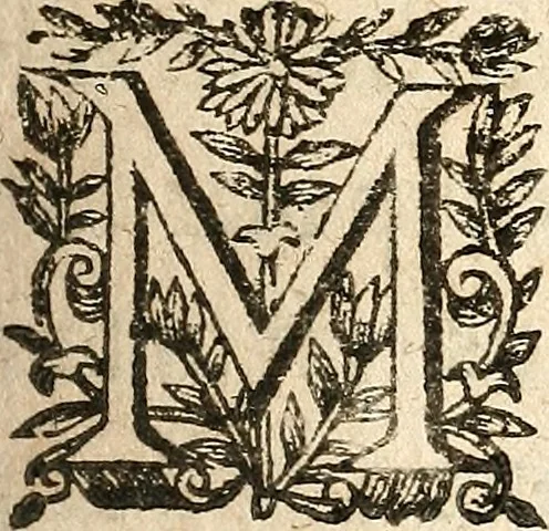 An illustration from [Théâtre de Rotrou], 1636, leaf 220