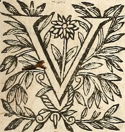 An illustration from [Théâtre de Rotrou], 1636, leaf 234