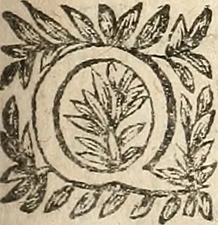 An illustration from [Théâtre de Rotrou], 1636, leaf 242