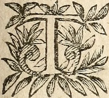 An illustration from [Théâtre de Rotrou], 1636, leaf 246