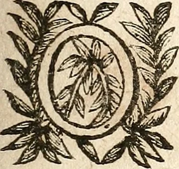 An illustration from [Théâtre de Rotrou], 1636, leaf 254