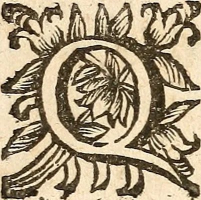 An illustration from [Théâtre de Rotrou], 1636, leaf 29