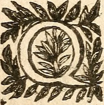 An illustration from [Théâtre de Rotrou], 1636, leaf 301