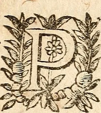 An illustration from [Théâtre de Rotrou], 1636, leaf 309