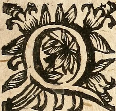 An illustration from [Théâtre de Rotrou], 1636, leaf 34