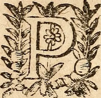 An illustration from [Théâtre de Rotrou], 1636, leaf 349
