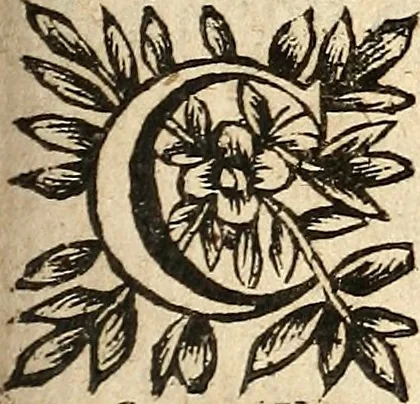 An illustration from [Théâtre de Rotrou], 1636, leaf 354
