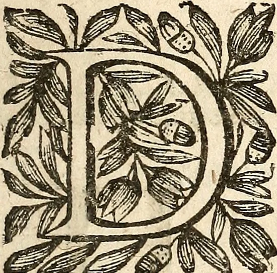 An illustration from [Théâtre de Rotrou], 1636, leaf 38