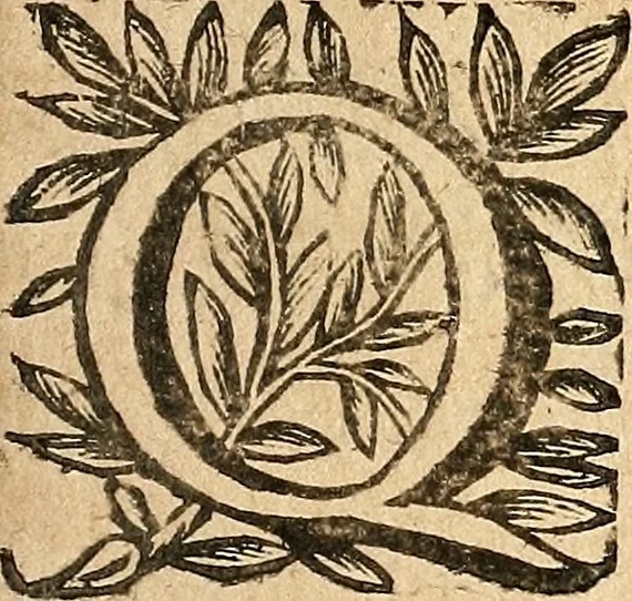 An illustration from [Théâtre de Rotrou], 1636, leaf 404