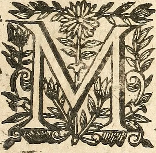An illustration from [Théâtre de Rotrou], 1636, leaf 460