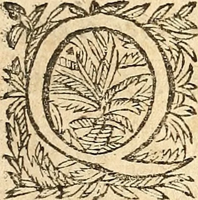 An illustration from [Théâtre de Rotrou], 1636, leaf 486