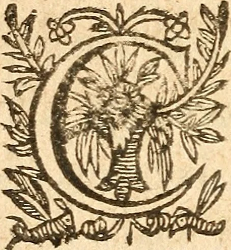 An illustration from [Théâtre de Rotrou], 1636, leaf 511