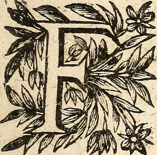 An illustration from [Théâtre de Rotrou], 1636, leaf 58