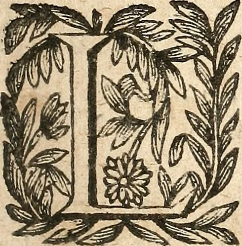 An illustration from [Théâtre de Rotrou], 1636, leaf 62