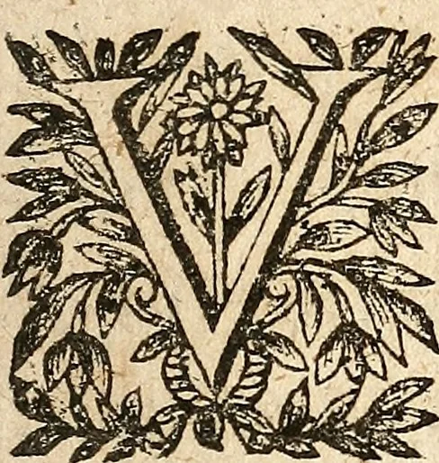 An illustration from [Théâtre de Rotrou], 1636, leaf 74