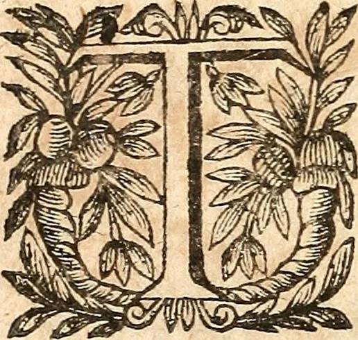 An illustration from [Théâtre de Rotrou], 1636, leaf 85