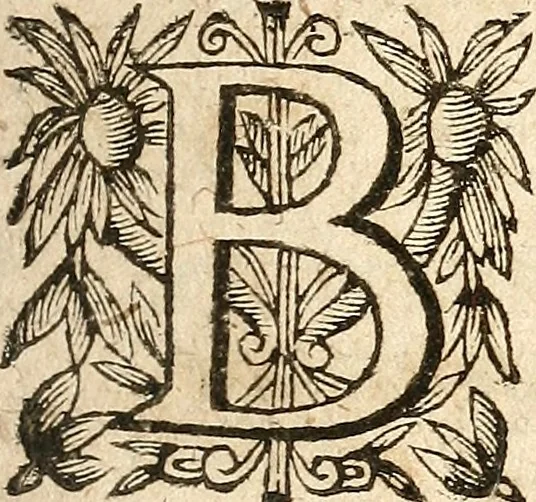 An illustration from [Théâtre de Rotrou], 1636, leaf 96