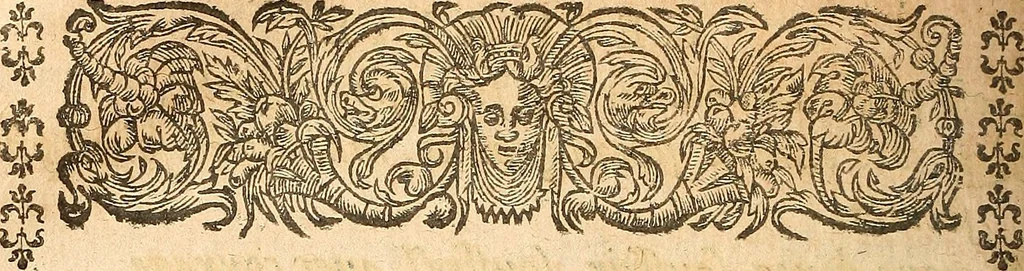An illustration from [Théâtre de Rotrou], 1636, leaf 249