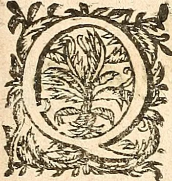 An illustration from [Théâtre de Rotrou], 1636, leaf 382