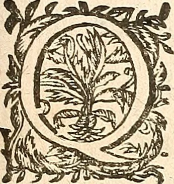 An illustration from [Théâtre de Rotrou], 1636, leaf 408
