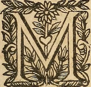 An illustration from [Théâtre de Rotrou], 1636, leaf 10
