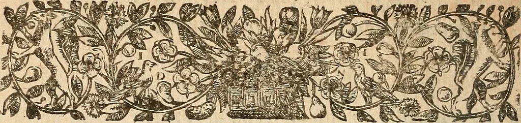 An illustration from [Théâtre de Rotrou], 1636, leaf 101