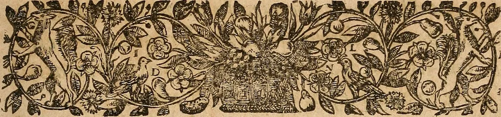 An illustration from [Théâtre de Rotrou], 1636, leaf 12