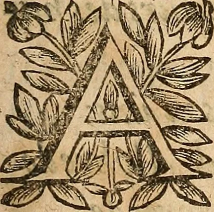 An illustration from [Théâtre de Rotrou], 1636, leaf 12