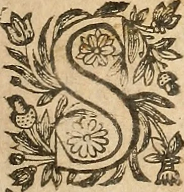 An illustration from [Théâtre de Rotrou], 1636, leaf 140