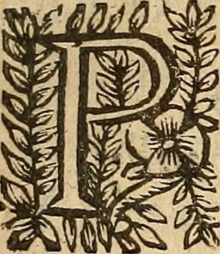 An illustration from [Théâtre de Rotrou], 1636, leaf 160