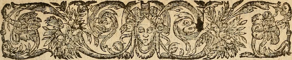 An illustration from [Théâtre de Rotrou], 1636, leaf 212