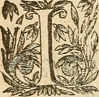 An illustration from [Théâtre de Rotrou], 1636, leaf 217
