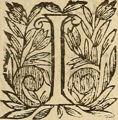 An illustration from [Théâtre de Rotrou], 1636, leaf 218