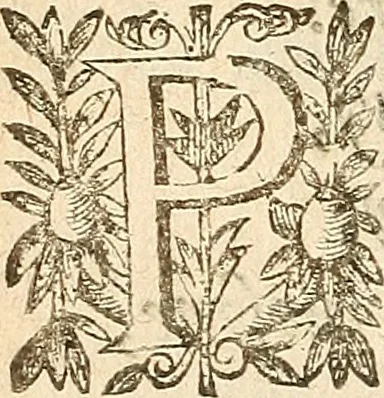 An illustration from [Théâtre de Rotrou], 1636, leaf 227