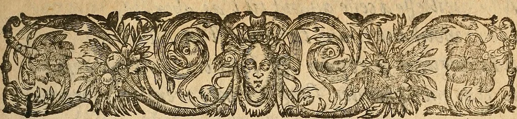 An illustration from [Théâtre de Rotrou], 1636, leaf 238